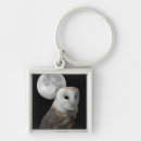 Recherche de hiboux de grange Nature