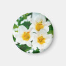 Recherche de et floral blanc mariage magnets Fleurs blanches