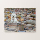 Recherche de westie puzzles Chiens