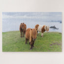 Recherche de poneys puzzles Poulain