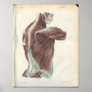 Recherche de dos posters Imprimer