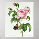 Recherche de 21ème siècle Fleurs 19ème