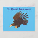 Zoek naar roofvogels briefkaarten Valk
