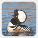 Recherche de marchands autocollants Oiseau
