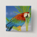 Recherche de hawaï badges Plage