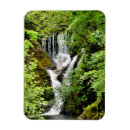 Recherche de cascades magnets Arbres