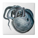 Recherche de nautilus carreaux Mer