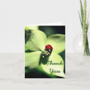 Recherche de ladybug remerciements cartes Floral