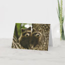 Zoek naar dieren foto kaarten Natuur