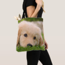 Recherche de dog visite photographie Chiot