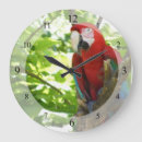 Recherche de ara horloges Tropical
