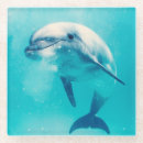 Recherche de dauphin dessous de verres Plage