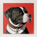 Recherche de chien blanc puzzles Canin