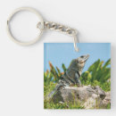 Recherche de iguane porteclés Lézard