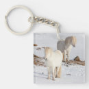 Recherche de islandais porteclés Poney