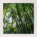 Zoek naar bamboe puzzels Natuur