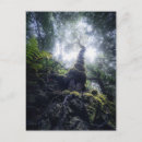 Recherche de îles canaries cartes postales Tropical