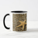 Recherche de échinoderme tasses Océan