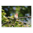 Zoek naar huis vink briefkaarten Wild