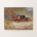 Recherche de faisans puzzles Oiseaux