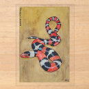 Recherche de serpent invitations Nature