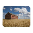 Zoek naar farm magneten Landbouw