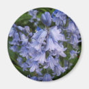Recherche de jacinthe magnets Flore
