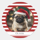 Recherche de cannes autocollants Contenu générationnel