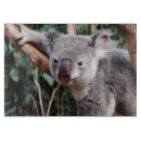 Recherche de koala planches à découper Animal