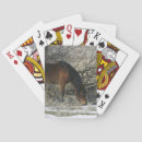 Zoek naar mustang speelkaarten Ruitersport