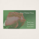 Recherche de soleil rouge cartes visite Fleur