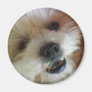 Recherche de de bruit animal magnets Animaux familiers