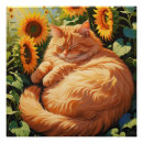 Zoek naar oranje katten posters Katje
