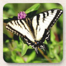 Recherche de machaon noir Blanc