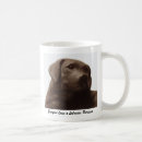 Recherche de labrador retriever noir tasses Chiot