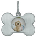Recherche de photos animaux articles Dogs