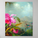 Recherche de vintage orchidee posters Colibris