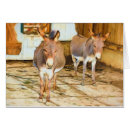 Recherche de hee Hee haw