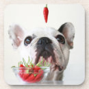 Recherche de bouledogue francais dessous de verres Chien de taureau