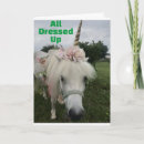 Zoek naar grappige paarden kaarten 50e