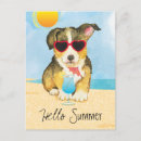 Zoek naar pembroke welsh corgi briefkaarten Puppy