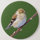 Recherche de le chardonneret badges Jaune