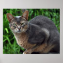 Recherche de clinique posters Bleu