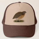 Recherche de oeufs casquettes Volaille