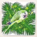 Zoek naar papegaaien onderzetters Groen