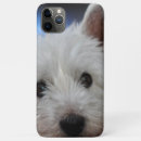 Zoek naar westie hoesjes Doodsbang