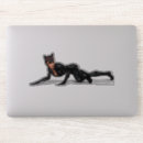 Recherche de hugo autocollants Dc comics