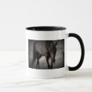 Recherche de graphique de cheval tasses Animal