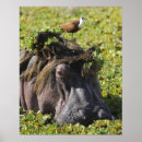 Zoek naar samenwerking posters Natuur