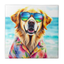 Recherche de lunettes soleil carreaux Dog